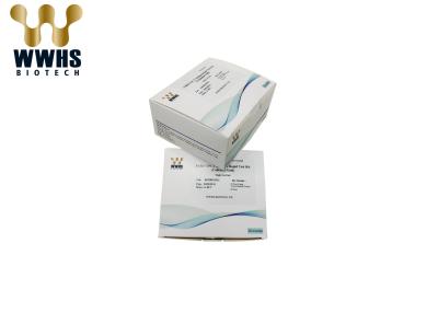 COVID-19 IgM IgG Antibody Rapid Test Kit Colloidal Gold Assay Nucleic Acid Extractor