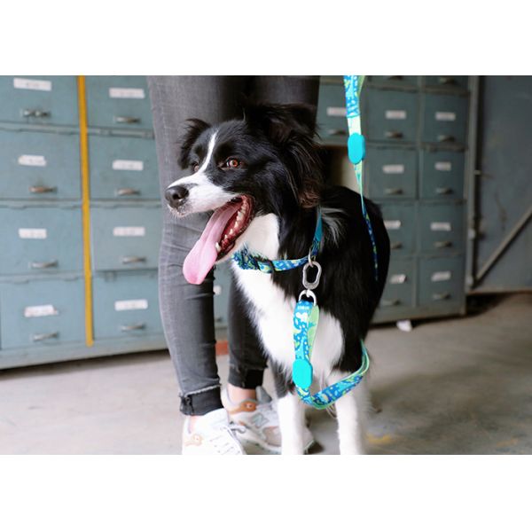 4.57m 15 Foot Sublimation Braided Nylon Rope Dog Leash Lead Running