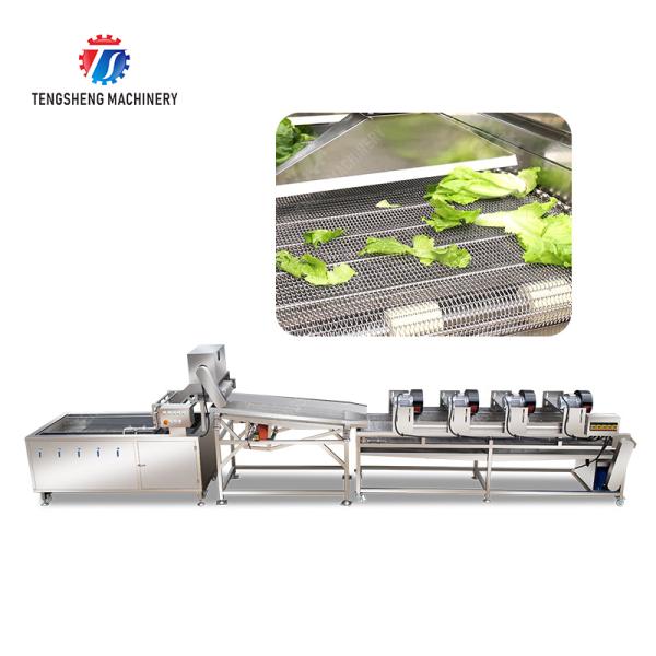 Fruit and vegetable washing and vibrating drying production line Fruit Vegetable FOOD processing production Machine Versatile and Durable Fruit Vegetable Processing Line for Your Business Processin