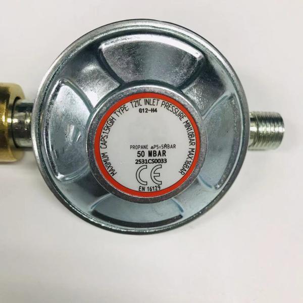 Pressure Regulators Germany LPG Valve 50mbar Low Pressure Gas Regulator