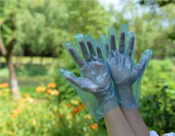 Ambidextrous Food Grade Disposable TPE Gloves