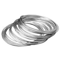 AWG 38 0,10 mm fil en argent 4N OCC haute pureté pour l' audio