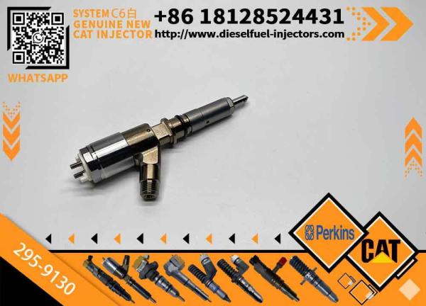 Engine Injectors 3264700 Cat 320d Fuel Injector 295-9130 317-2300 for Caterpillar C6.4 Injectors