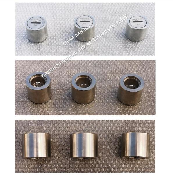 Stainless Steel Threaded Sounding Pipe Head Meets Standard GB/T3778-99