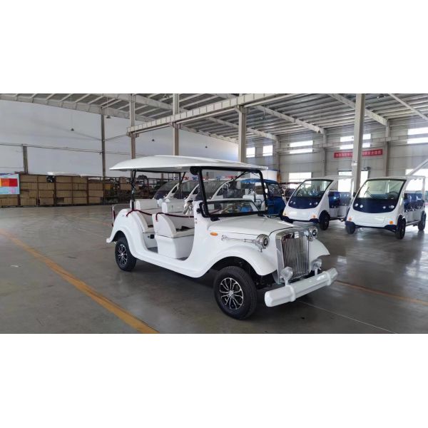 8-местный электромобиль Классический внешний вид Логотип печати индивидуальные EV Классические автомобили для отдыха