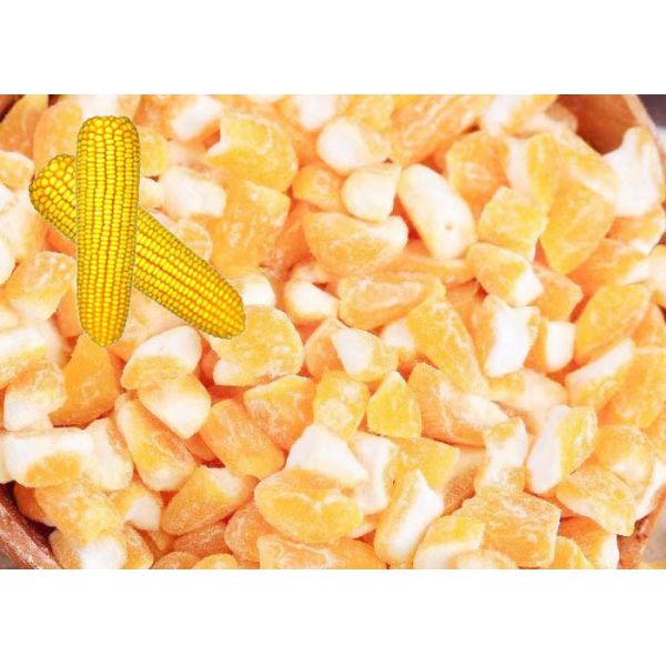 Premium Corn Major Agricultural Products , Agricultural Food Products Dried Style