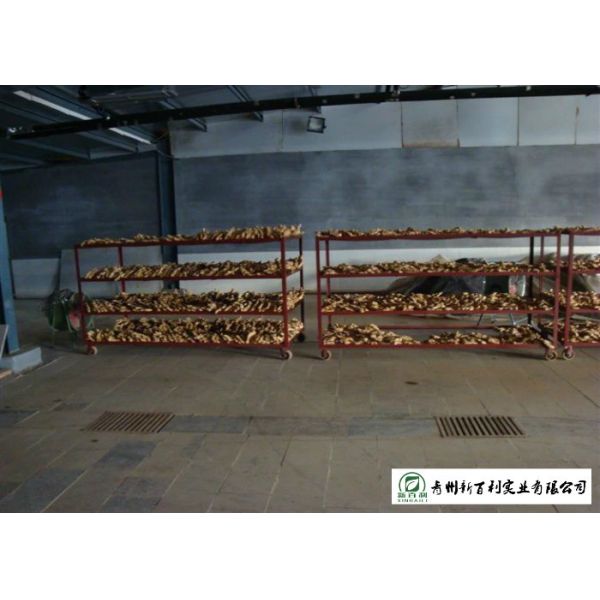 Spicy Organic Fresh Ginger 10 Kg / Box Own Plantation Japan Standard