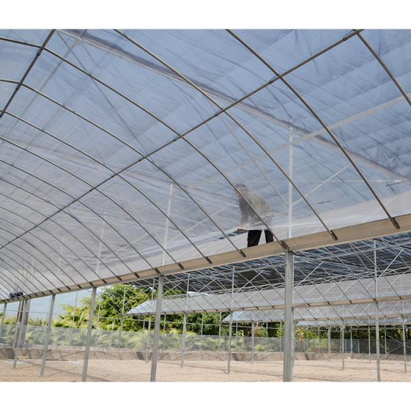 Vegetable Garden Large Greenhouse Kit 30X100 Metal Frame Large Greenhouse Kit