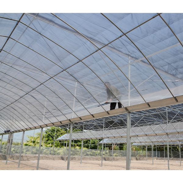 Kit de invernadero grande para huerto 30X100 con estructura metálica