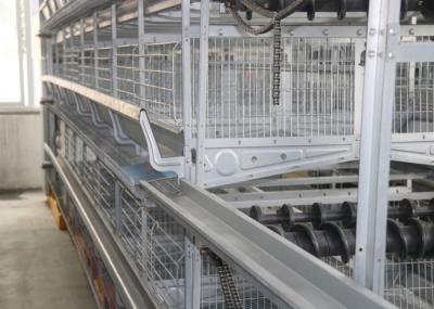 Energy Saving Automated Poultry Equipment Simple Structure 1200×600×480 Mm