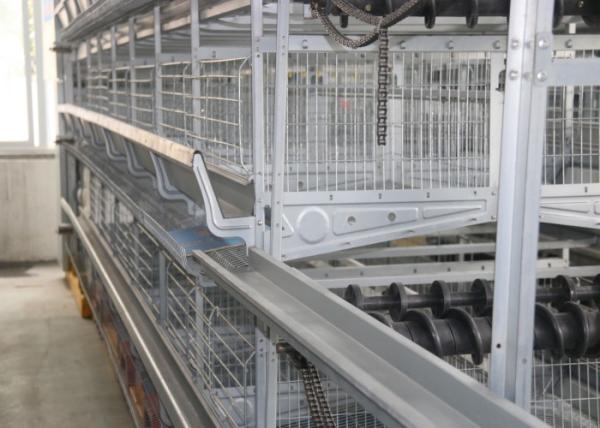 Energy Saving Automated Poultry Equipment Simple Structure 1200×600×480 Mm