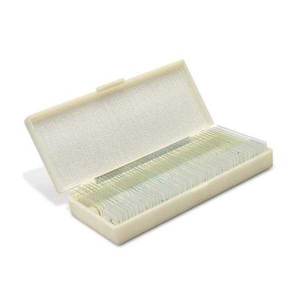 50pcs/Box Fixed Set High School OEM Biological Slides For Teaching