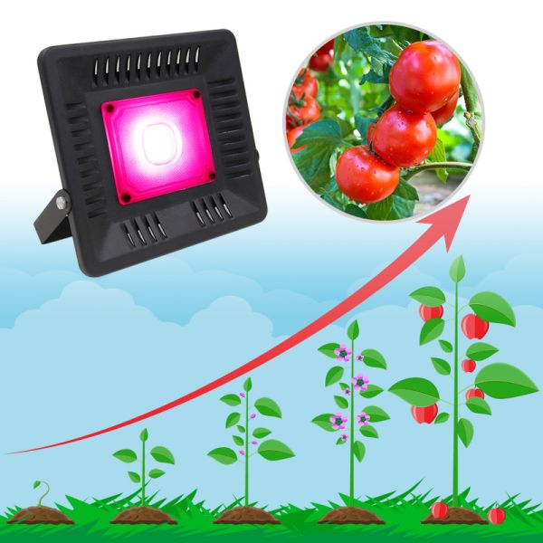 Indoor Grow Kits 200W Led flood Growth Light For Greenhouse High Bright