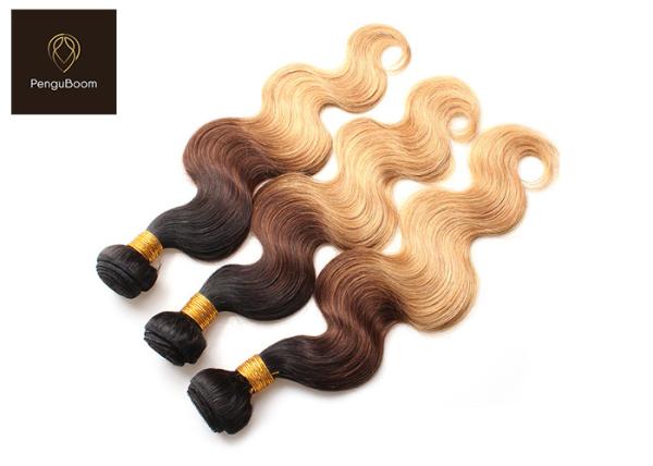 1b 4 27 BW Colored Human Hair Bundles