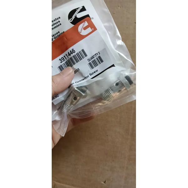 Части LGMC дизеля двигателя 3939570 винтов с пружинными шайбами