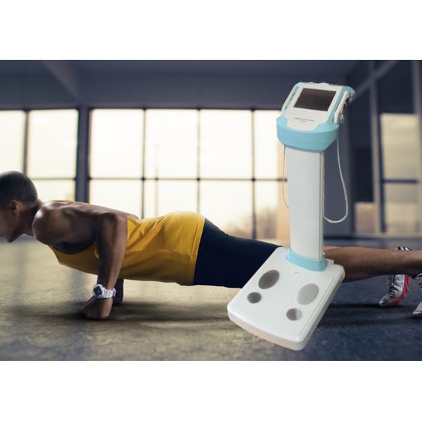 Body Fat Test Machine For Quick Health Assessment