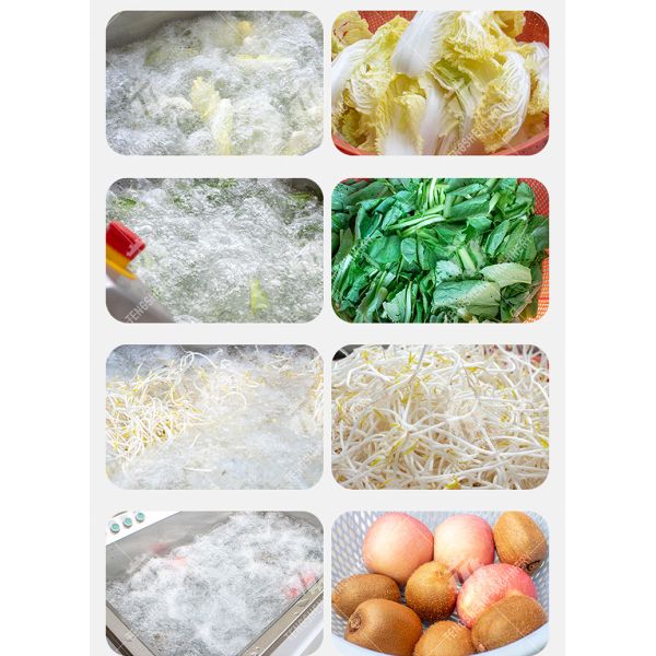 Fruit Orange Leaves Vegetables sward beans  Herbs Fruiting vegetables Wash Washer Washing Cleaning processing production Double cylinder fruit and vegetable washing machine
