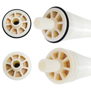 En encrassant les éléments industriels résistants de membrane de RO filtrez 2521
