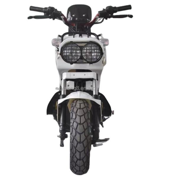 60V Electric Motorcycles EEC Electric Bike Electric Scooter Moped City Bike for Adult
