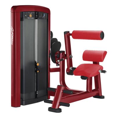 O gás da máquina do exercício da extensão da parte traseira do ajuste nivelado ajudou à mola segura