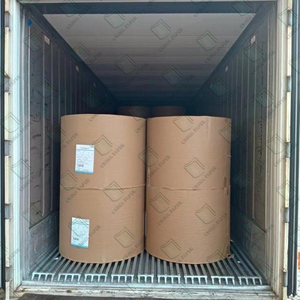 Papel de tecido personalizado para toalha de mão 100% biodegradável e compostável SGS