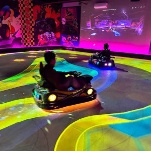 Go-Kart Entertainment Games Adults Interactive Virtual Games Cars Immersive Go Kart Shopping Center Indoor Playground