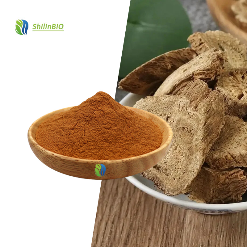 High Quality Food Grade Aucklandiae Radix Extract 5:1 10:1 20:1