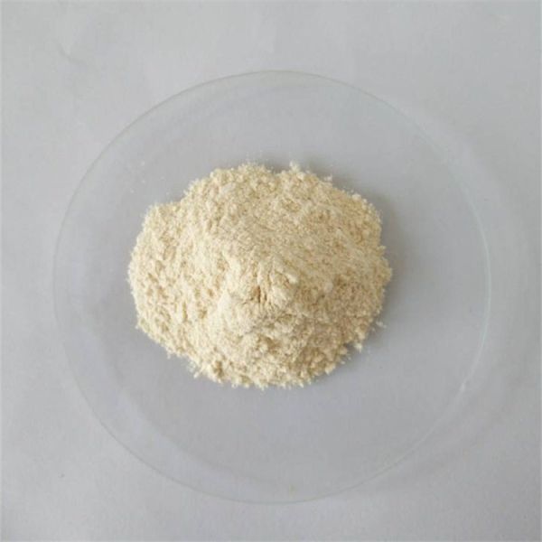 50%Extract powder garcinia cambogia