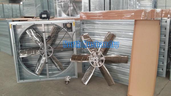 Kỹ thuật chăn nuôi gà công nghiệp kiểu chuồng lạnh
