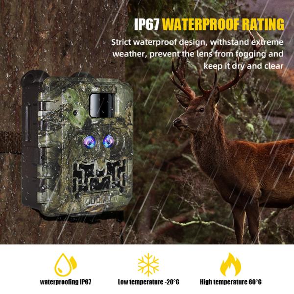 940nm LEDS Infrared Wildlife Camera Programmable LCD Display