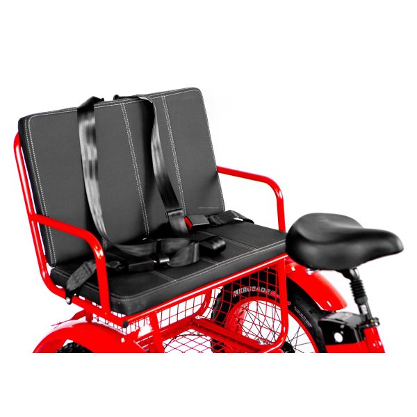 48V21AH Battery CE USA Market 750W 8FUN Front Motor 24-20inch 3 Wheels Fat Tire Electric Rickshaw