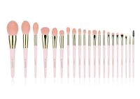 Brosse de lecture synthétique de maquillage d'ODM 21Pcs d'OEM avec les cheveux synthétiques de haute catégorie