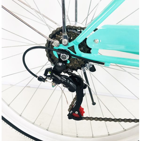 700C Hi-Ten Steel Frame USA OEM Women City Bike with 7 Speeds and Aluminum Alloy Rims