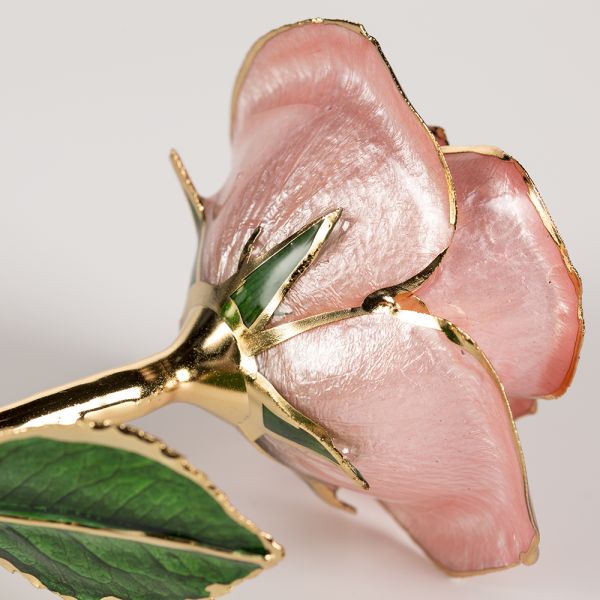 Wholesale Real Rose Dipped 24k Gold  Preserved Fresh Flower Peach pink Everlasting Rose for Valentine's Day, Birthday Gifts