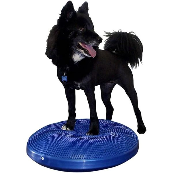 Manufacturer direct selling PVC dog flat slope training massage board