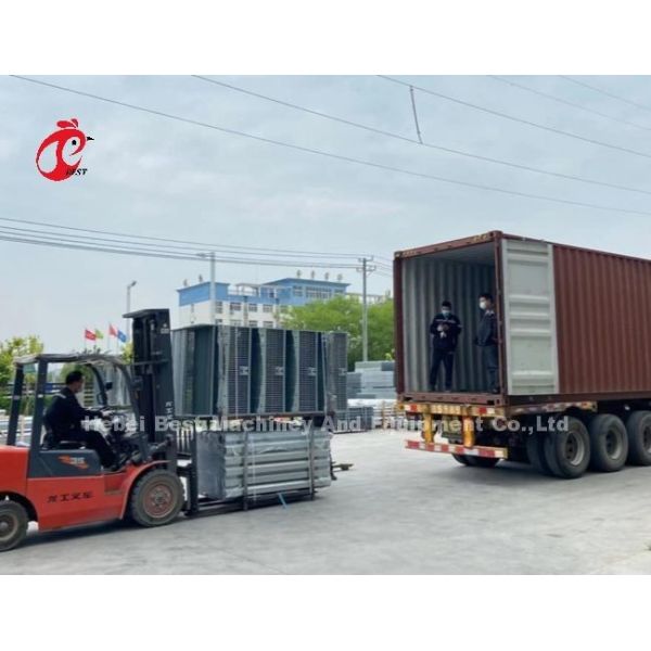 Система птицеводческих клеток типа H/A с автоматическими питьевыми кормилицами Установка для Танзании Уганда Гана Кения Сэнди