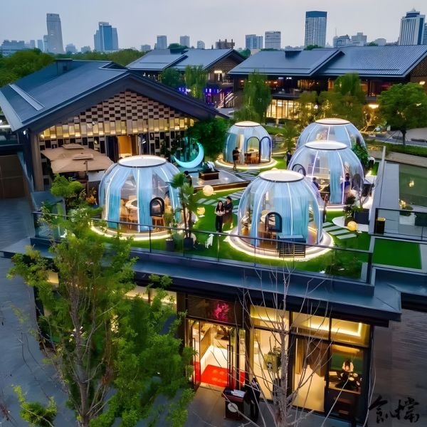 Customized Glamping Polycarbonate Dome Bubble Tent Ho Synchronous Rectification