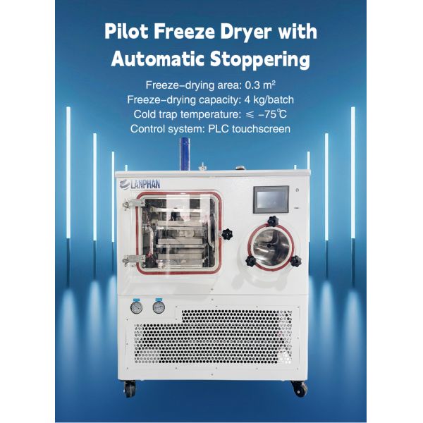 Small Scale Pharmaceutical Freeze Dryer Vacuum Drying Machine for Scientific Labs