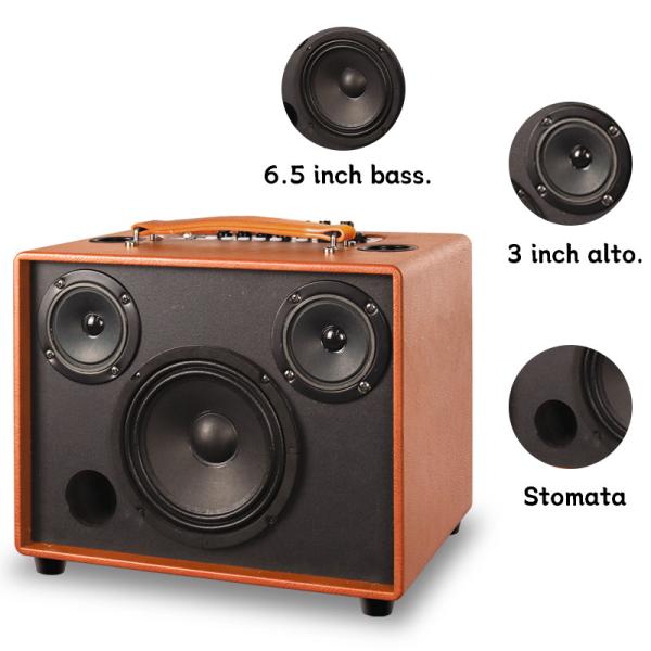 Rechargeable Portable Karaoke Speaker With Voice Control Echo Cancellation