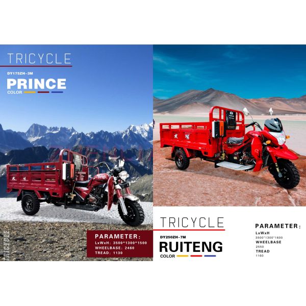 800 Вт полукабинный моторизованный грузовой трехколесный велосипед с закрытой кабиной и пластиковым грузовым крышкой