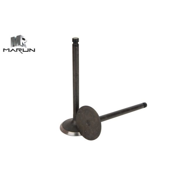 Intake Valve and Exhaust Valve for Mitsubishi 6D15t Me031557 Me031558