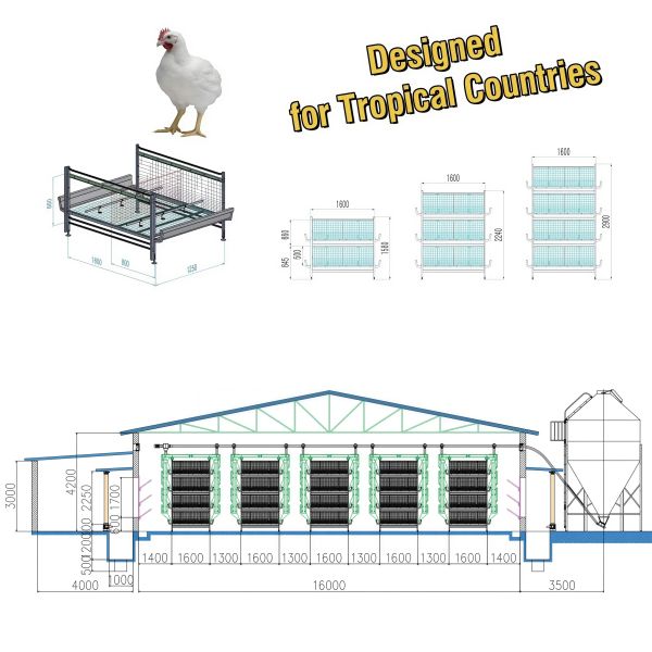 Manual Harvesting Broiler Cage Equipment