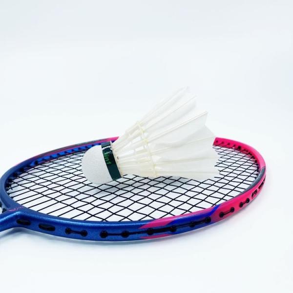 Dmantis D7 Model Wholesale Supply Training Equipment Badminton Racket China Factory Sale Customization