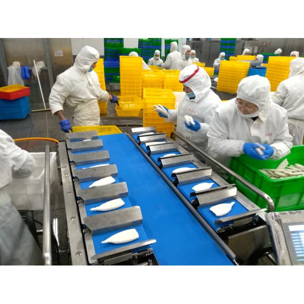 Weigher Multihead рыб главного пояса 40WPM 12 замороженный