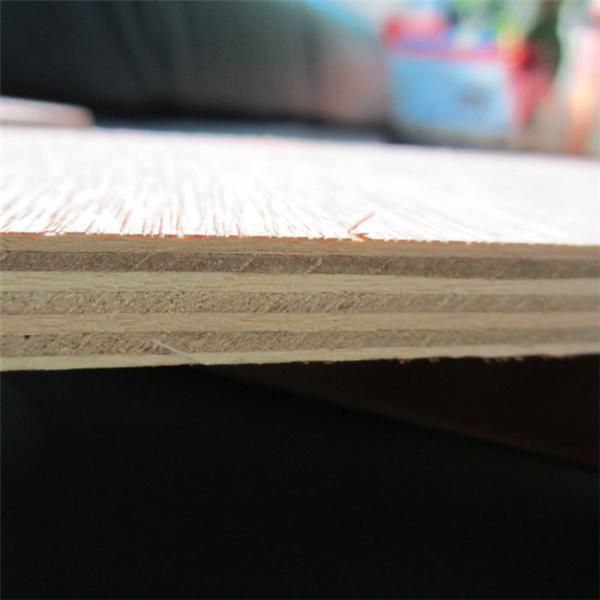 Poplar Wood BB CC Grade E2 Glue Faced Plywood