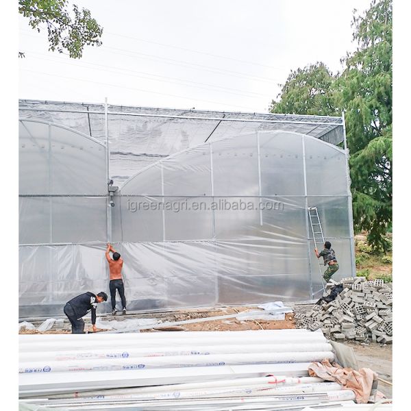 Strong Structure Large Multi-Span Agricultural Tropical Greenhouses PE Plastic Film Covered Gutter Rain Water Collection