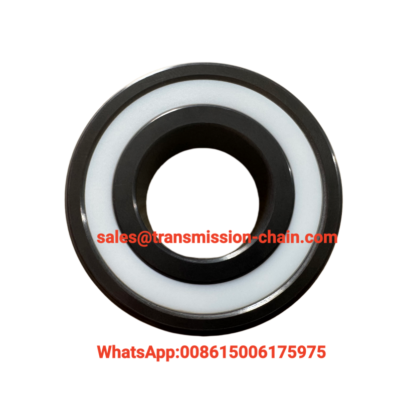 Si3N4 Silicon Nitride Ceramic Material 6205CE-2RS Full Ceramic Deep Groove Ball Bearing