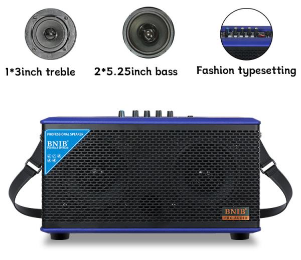 CE Portable Bluetooth Speaker Karaoke Party Speaker With Wireless Microphone