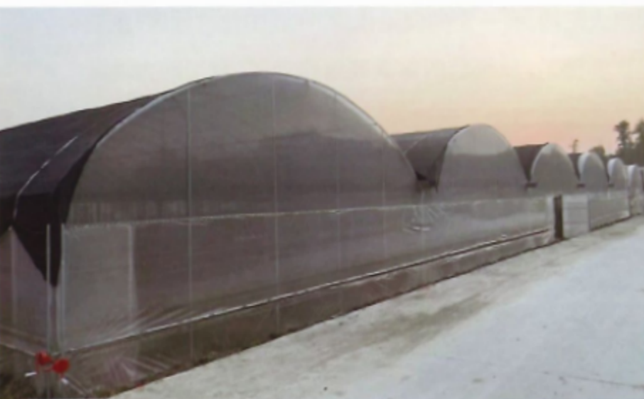 Multi‑Span Round‑Arch Poly Tunnel Greenhouse