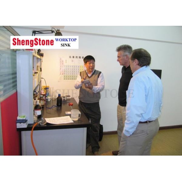 shengstone international limited